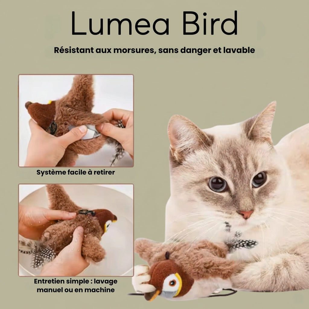 Lumea Bird