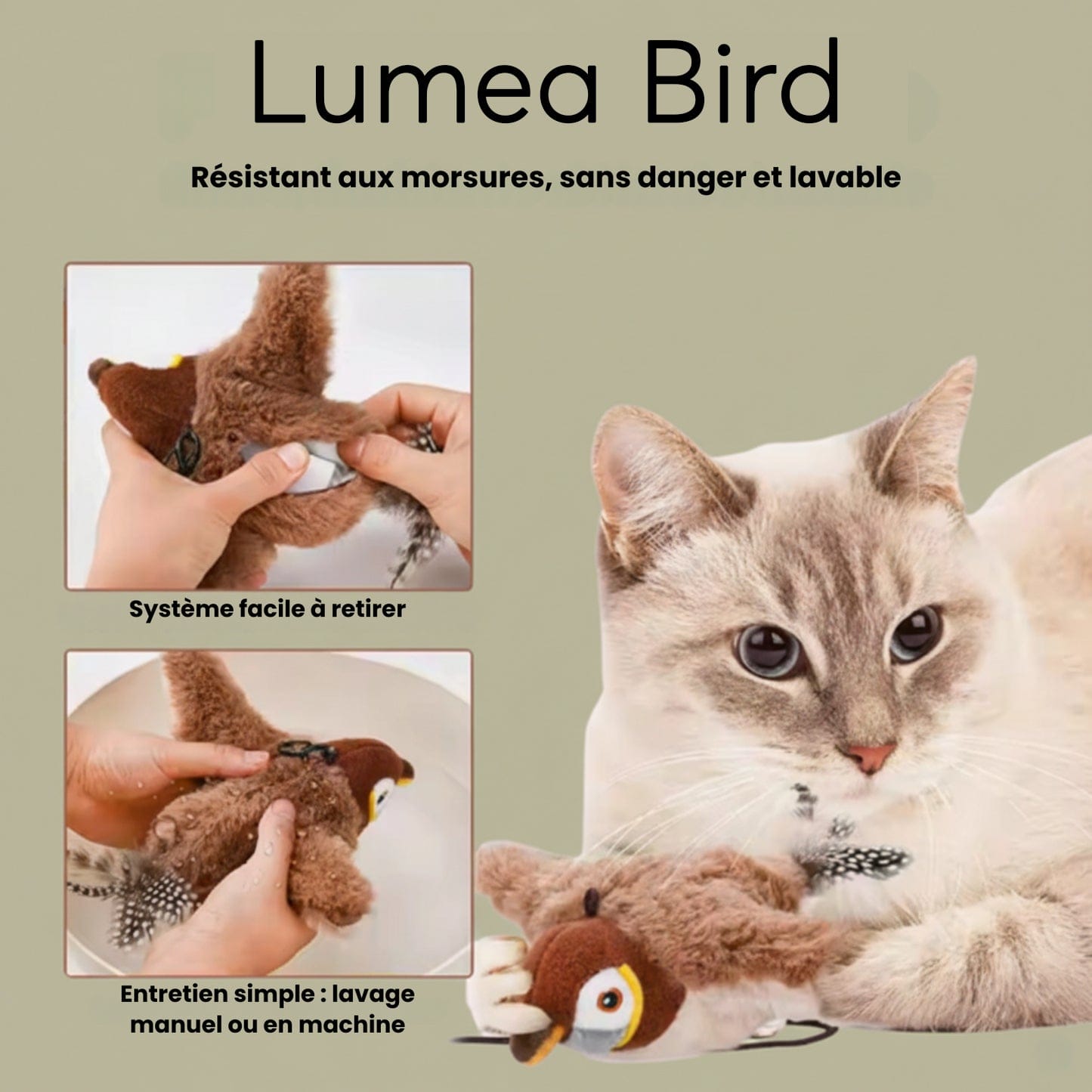 Lumea Bird