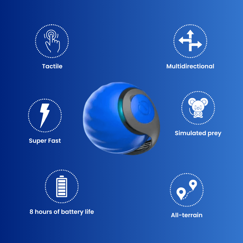 SnapTail Plus™ (EN) - Luméa Swiss - Québec